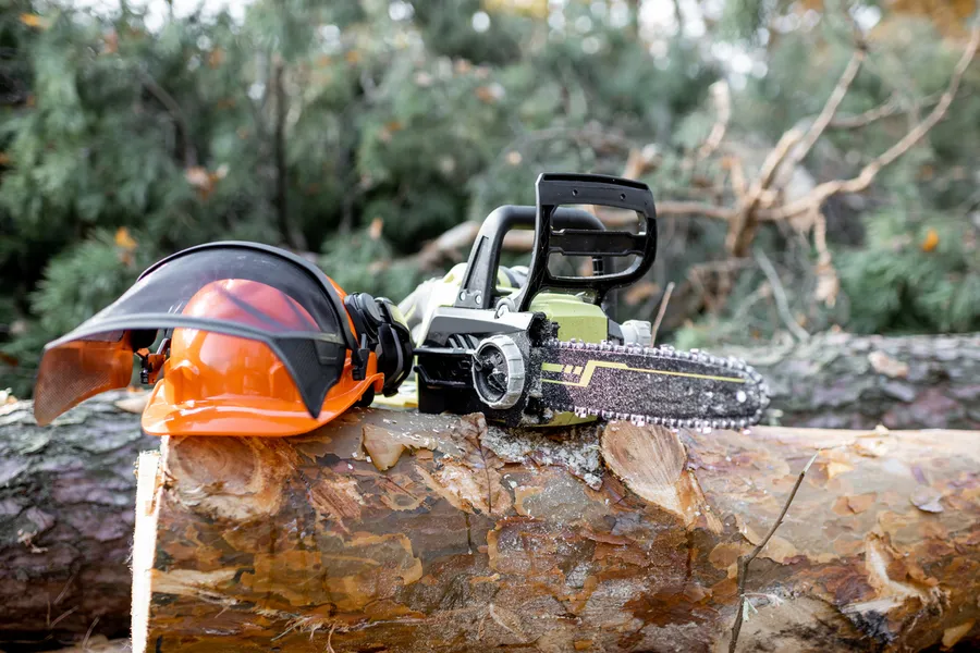 How Tree Cutting Enhances Your Yards Aesthetic Appeal Allentown, PA How Tree Cutting Enhances Your Yards Aesthetic Appeal Allentown, PA