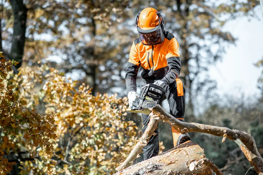 How Tree Cutting Services Reduce Fire Hazards On Properties Allentown, PA How Tree Cutting Services Reduce Fire Hazards On Properties Allentown, PA