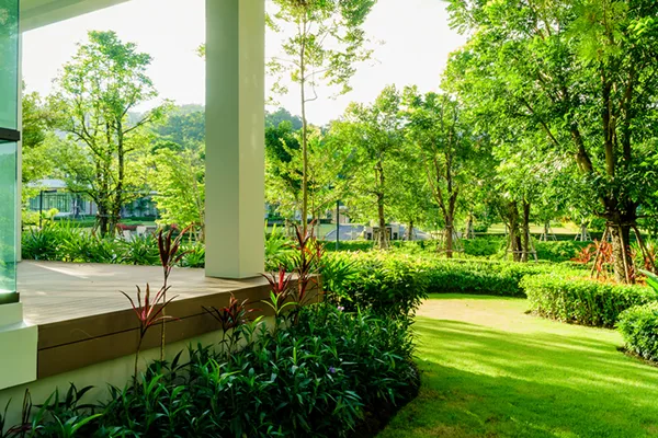 Residential Tree Service